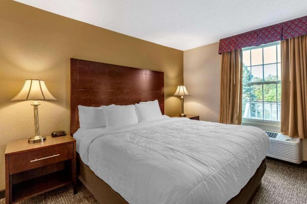 Comfort Inn Foxboro - Mansfield Foxborough Dış mekan fotoğraf