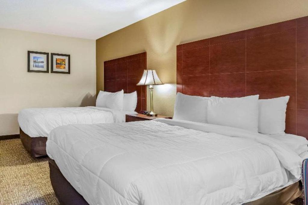 Comfort Inn Foxboro - Mansfield Foxborough Dış mekan fotoğraf
