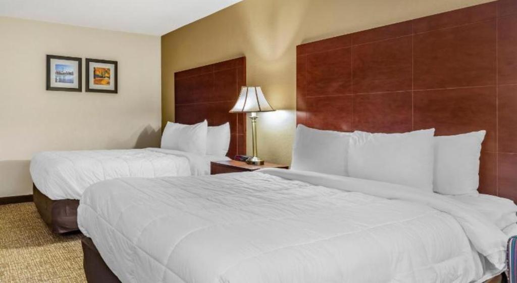 Comfort Inn Foxboro - Mansfield Foxborough Dış mekan fotoğraf